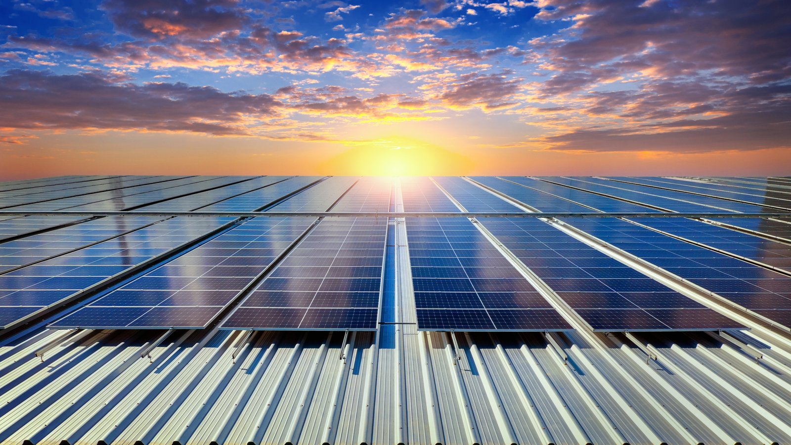 Solar farm panels for Energica Sustain Foundation